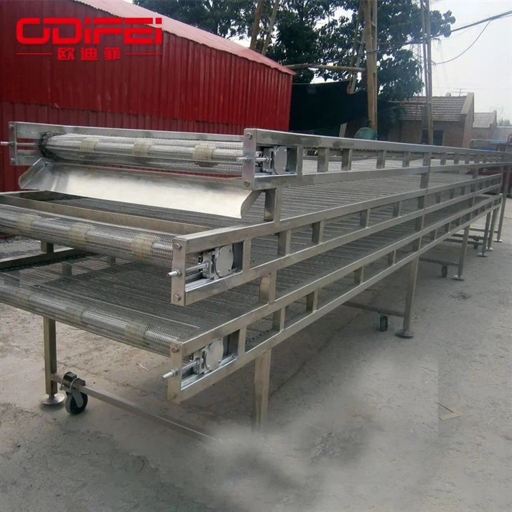 Mesh belt conveyor (5)